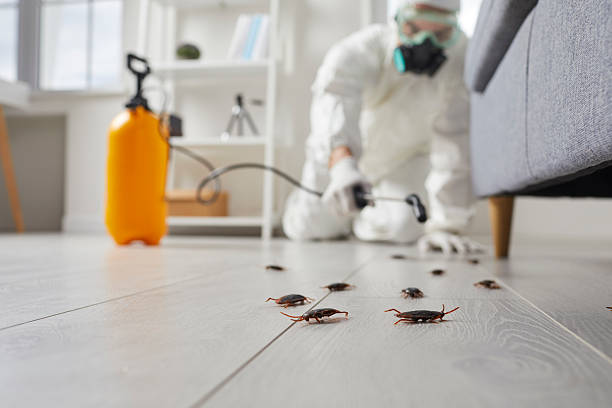 Commercial Kitchen Cockroach Control in Wekiwa Springs